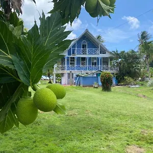Islander House On Rocky Cay Inn San Andrés
